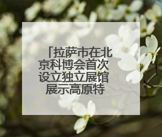 拉萨市在北京科博会首次设立独立展馆 展示高原特色产业