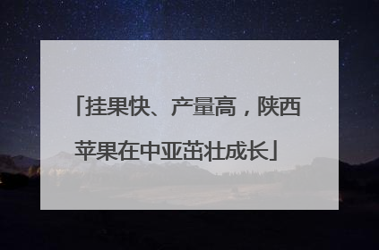 挂果快、产量高，陕西苹果在中亚茁壮成长