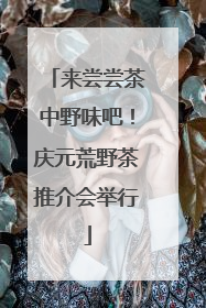 来尝尝茶中野味吧！庆元荒野茶推介会举行
