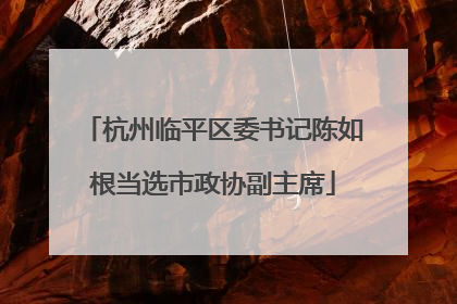 杭州临平区委书记陈如根当选市政协副主席