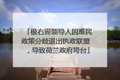 极右翼领导人因难民政策分歧退出执政联盟，导致荷兰政府垮台