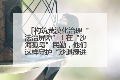 构筑荒漠化治理“法治屏障”！在“沙海孤岛”民勤，他们这样守护“沙退绿进”的生态奇迹