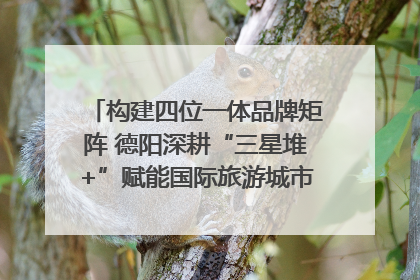 构建四位一体品牌矩阵 德阳深耕“三星堆+”赋能国际旅游城市建设｜文旅局长说