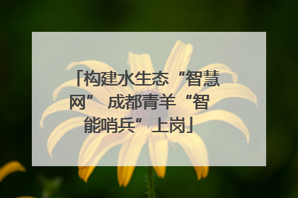 构建水生态“智慧网” 成都青羊“智能哨兵”上岗