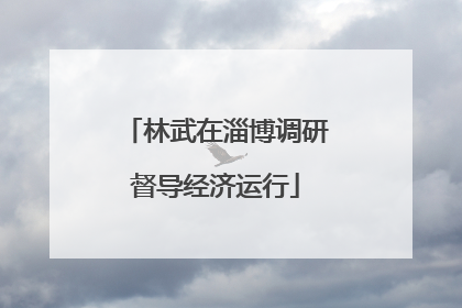 林武在淄博调研督导经济运行
