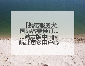 携带服务犬、国际客票预订……鸿蒙版中国国航让更多用户心愿成真