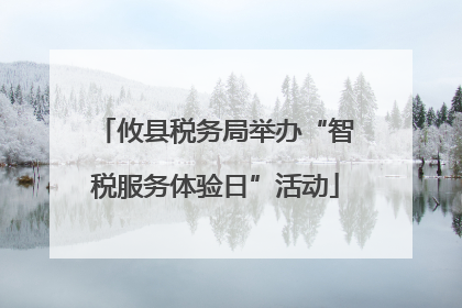 攸县税务局举办“智税服务体验日”活动