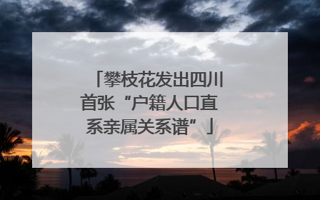 攀枝花发出四川首张“户籍人口直系亲属关系谱”