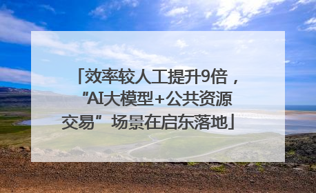 效率较人工提升9倍，“AI大模型+公共资源交易”场景在启东落地