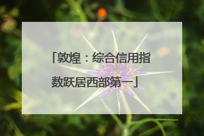 敦煌：综合信用指数跃居西部第一