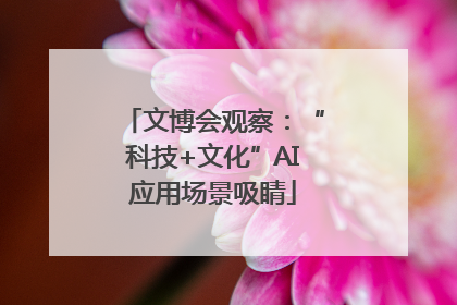 文博会观察：“科技+文化”AI应用场景吸睛