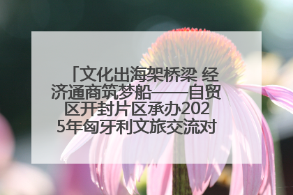 文化出海架桥梁 经济通商筑梦船——自贸区开封片区承办2025年匈牙利文旅交流对接活动专场