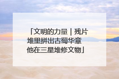 文明的力量｜残片堆里拼出古蜀华章 他在三星堆修文物