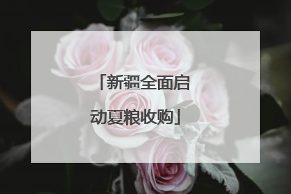 新疆全面启动夏粮收购