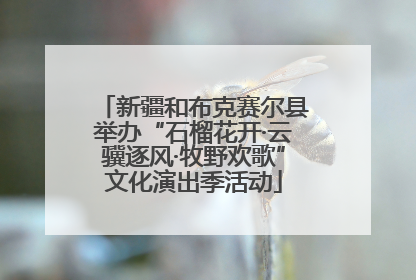 新疆和布克赛尔县举办“石榴花开·云骥逐风·牧野欢歌”文化演出季活动