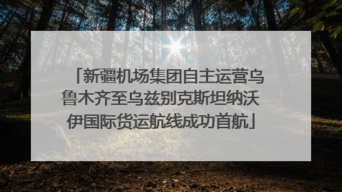 新疆机场集团自主运营乌鲁木齐至乌兹别克斯坦纳沃伊国际货运航线成功首航