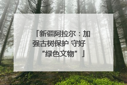 新疆阿拉尔：加强古树保护 守好“绿色文物”