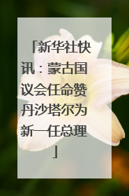 新华社快讯：蒙古国议会任命赞丹沙塔尔为新一任总理