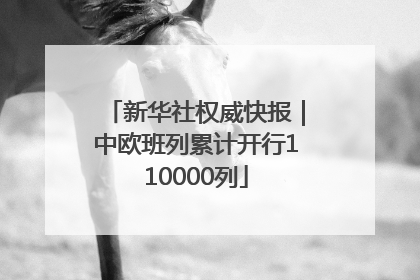 新华社权威快报｜中欧班列累计开行110000列