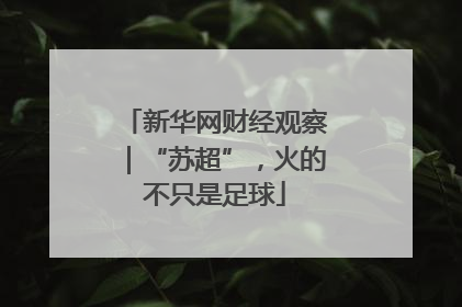 新华网财经观察｜“苏超”，火的不只是足球