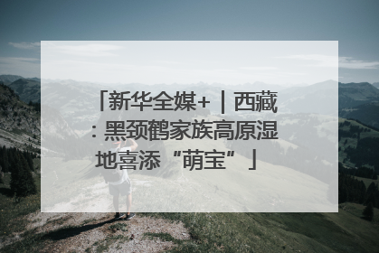 新华全媒+｜西藏：黑颈鹤家族高原湿地喜添“萌宝”