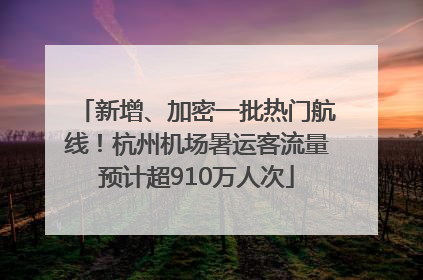 新增、加密一批热门航线！杭州机场暑运客流量预计超910万人次