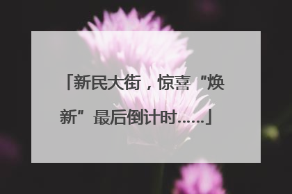 新民大街，惊喜“焕新”最后倒计时……