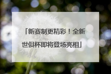 新赛制更精彩！全新世俱杯即将登场亮相