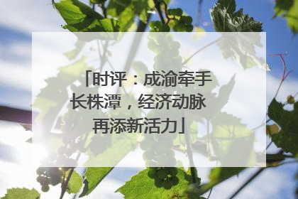 时评：成渝牵手长株潭，经济动脉再添新活力
