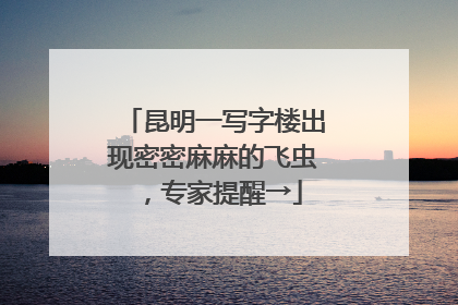 昆明一写字楼出现密密麻麻的飞虫，专家提醒→