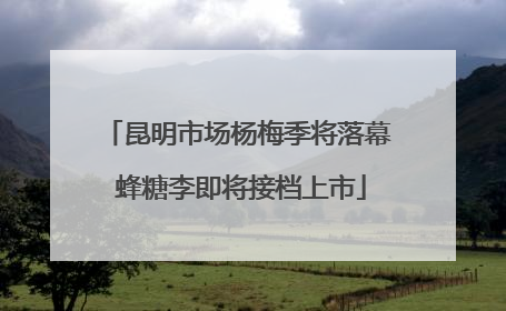 昆明市场杨梅季将落幕 蜂糖李即将接档上市