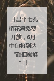 昌平七孔桥花海免费开放，6月中旬将到达“颜值巅峰”