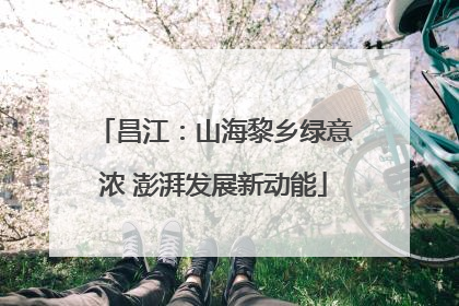 昌江：山海黎乡绿意浓 澎湃发展新动能