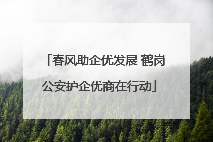春风助企优发展 鹤岗公安护企优商在行动