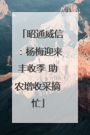 昭通威信：杨梅迎来丰收季 助农增收采摘忙