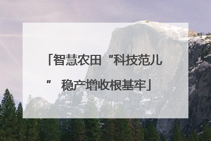 智慧农田“科技范儿” 稳产增收根基牢