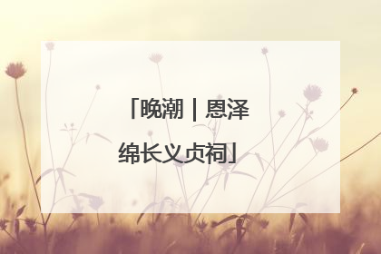 晚潮｜恩泽绵长义贞祠