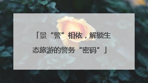 景“警”相依，解锁生态旅游的警务“密码”