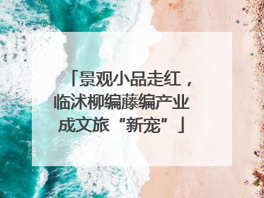 景观小品走红，临沭柳编藤编产业成文旅“新宠”