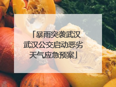 暴雨突袭武汉 武汉公交启动恶劣天气应急预案