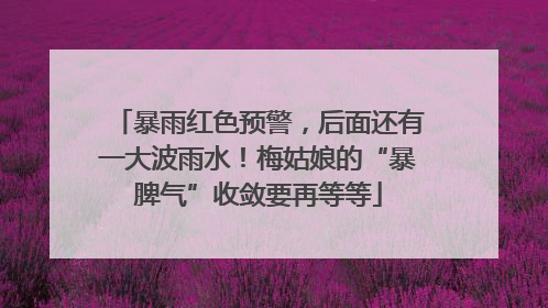 暴雨红色预警，后面还有一大波雨水！梅姑娘的“暴脾气”收敛要再等等
