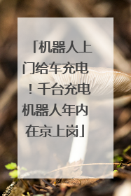 机器人上门给车充电！千台充电机器人年内在京上岗