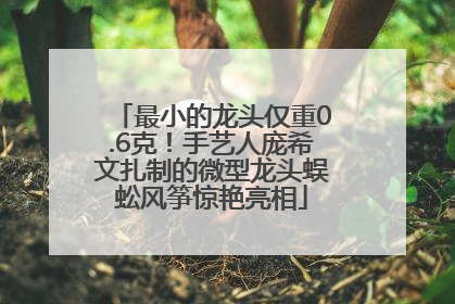 最小的龙头仅重0.6克！手艺人庞希文扎制的微型龙头蜈蚣风筝惊艳亮相