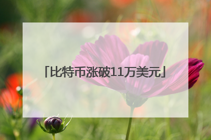 比特币涨破11万美元