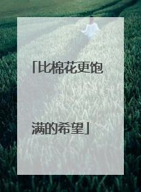 比棉花更饱满的希望
