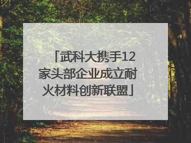 武科大携手12家头部企业成立耐火材料创新联盟