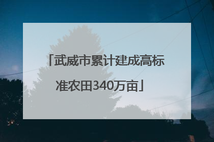 武威市累计建成高标准农田340万亩