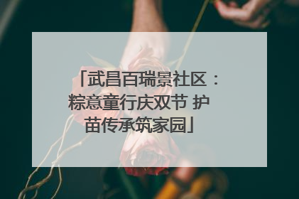 武昌百瑞景社区：粽意童行庆双节 护苗传承筑家园