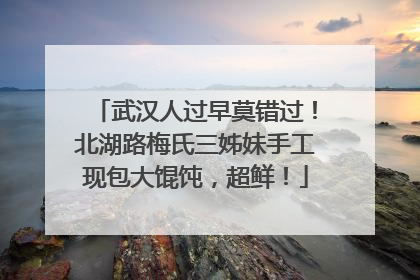 武汉人过早莫错过！北湖路梅氏三姊妹手工现包大馄饨，超鲜！