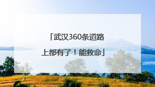 武汉360条道路上都有了！能救命